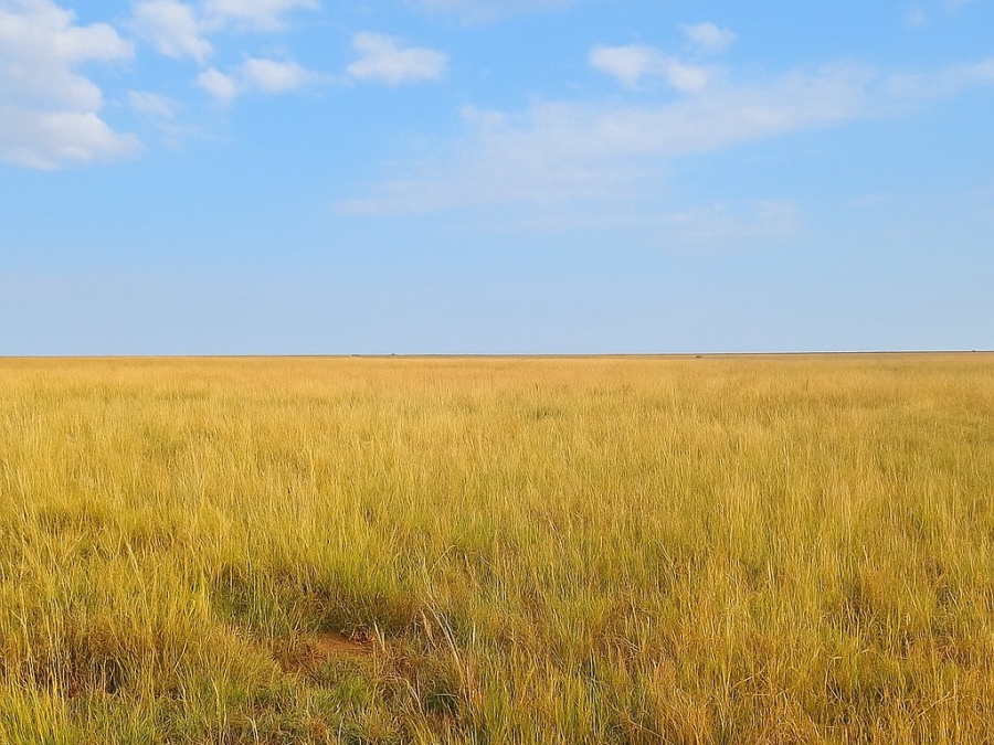  Bedroom Property for Sale in Bloemfontein Rural Free State